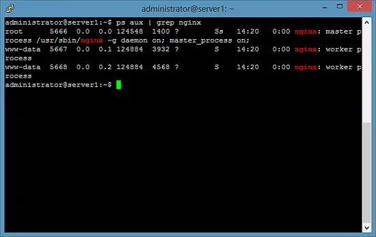 Check Nginx processes.