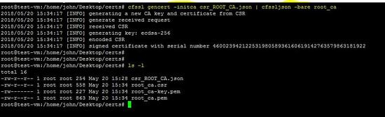  create the Root CA for the Lemur