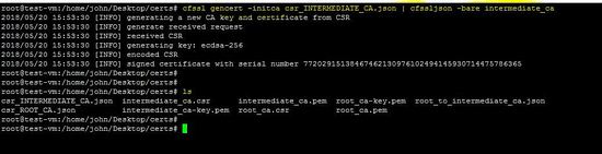 create an Intermediate CA against the above-mentioned configuration