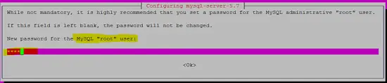 Set MySQL root password