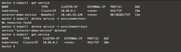 delete-service-with-matching-label