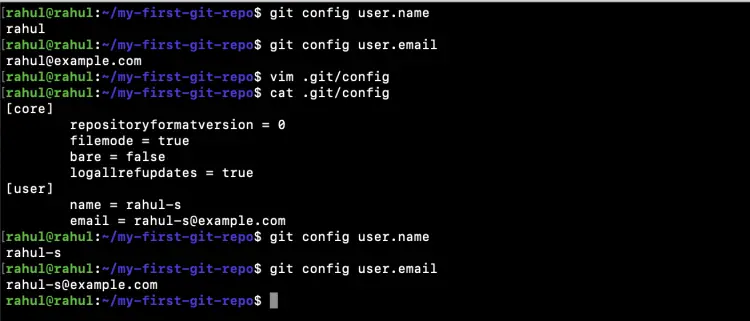 Set identity of the current repository using configuration file