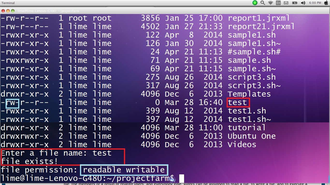 Shell Scripting Part 28: Decision Control Structures in Shell Scripts