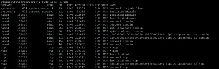 How to list open files based on type of connection (TCP or UDP)