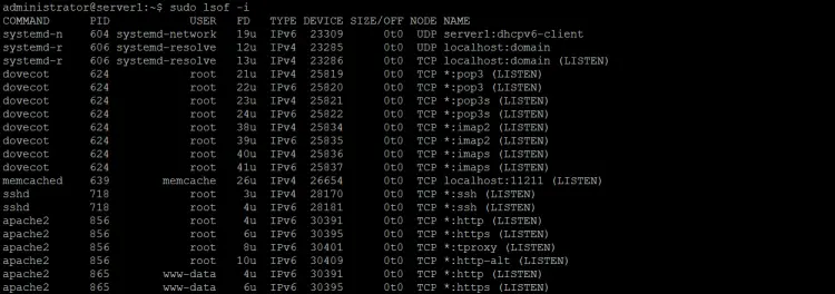 How to list all Internet and x.25 (HP-UX) network files