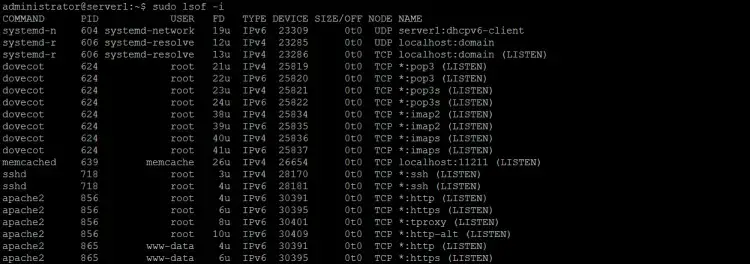 How to list all Internet and x.25 (HP-UX) network files