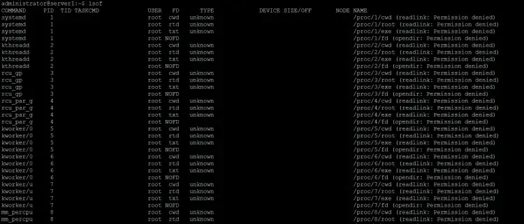 How to list all open files on Linux