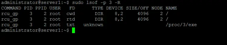 How to make lsof list Parent PID of processes