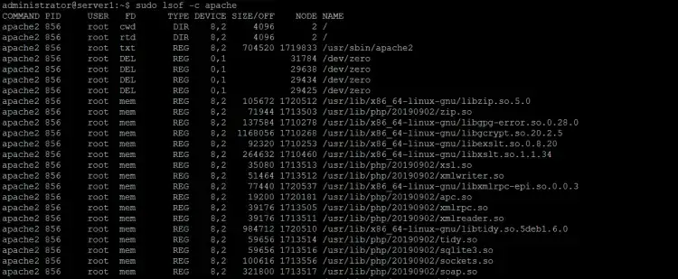 Get open files by program name