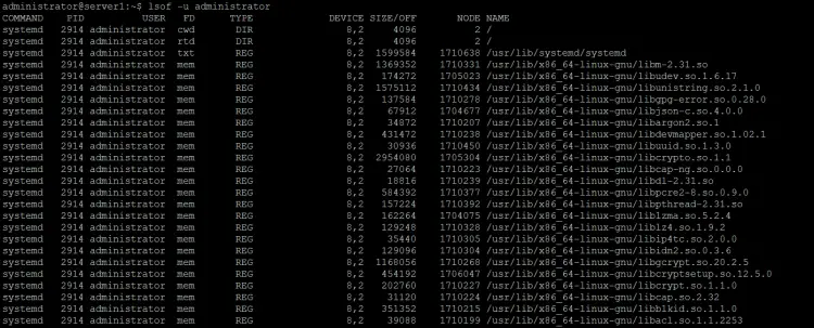 How to list files opened by processes belonging to specific user