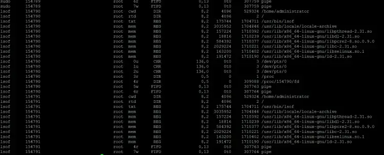 How to list files specific to a process - result
