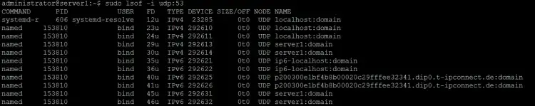 LSOD UDP Port 53