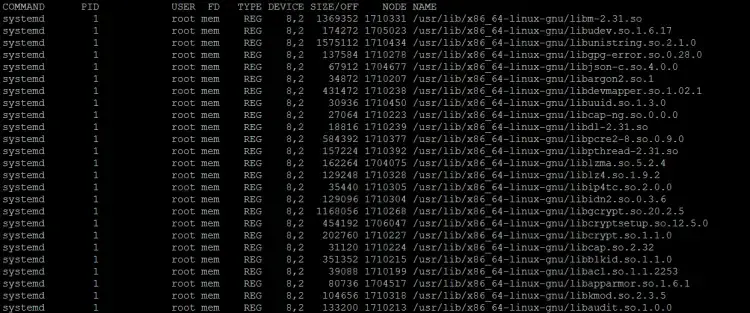 Find memory mapped files