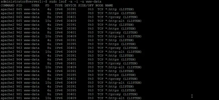 Find network activity by user on Linux