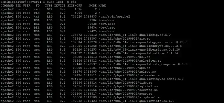 How to list files specific to a process