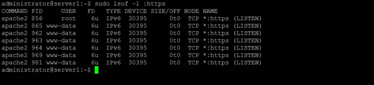 List processes by open port or service