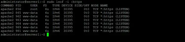 List processes by open port or service