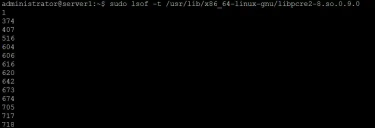 How to list IDs of processes that have opened a particular file