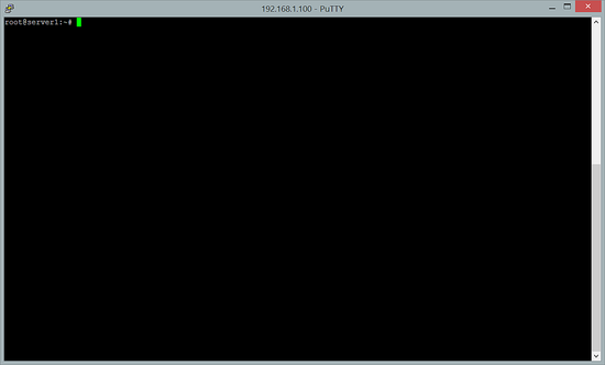 Linux screen command prompt