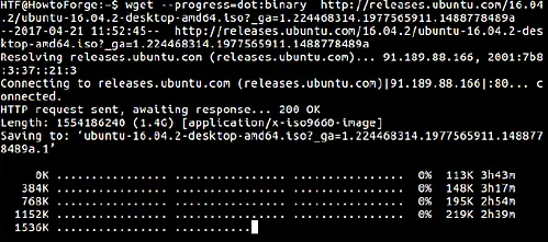 wget binary option