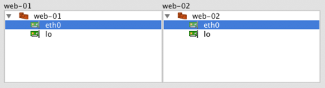 mapping the 
    interfaces for the servers in the cluster