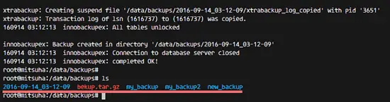 Result of the alternative backup command.