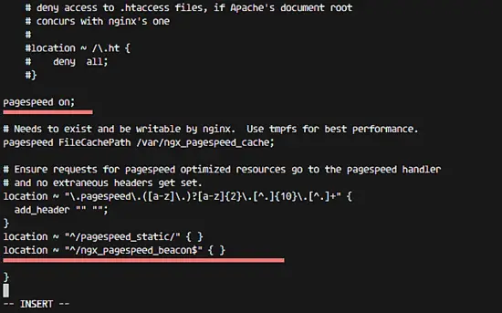 The Nginx vhost.