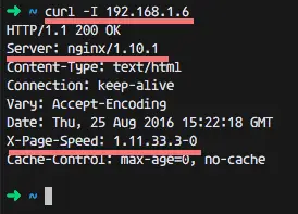 Nginx with pagespeed has been installed.