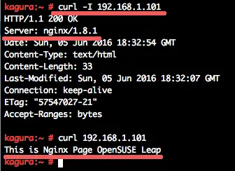 Test nginx with curl