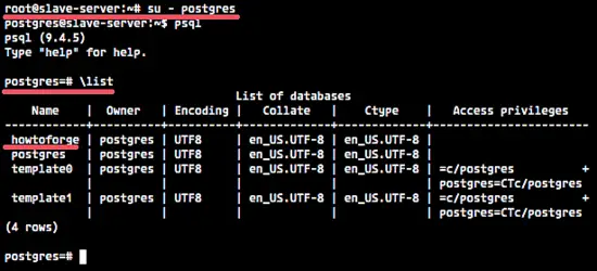 Check the PostgreSQL relication on the slave server.