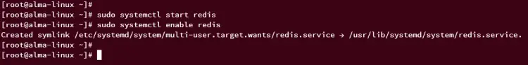 start enable redis