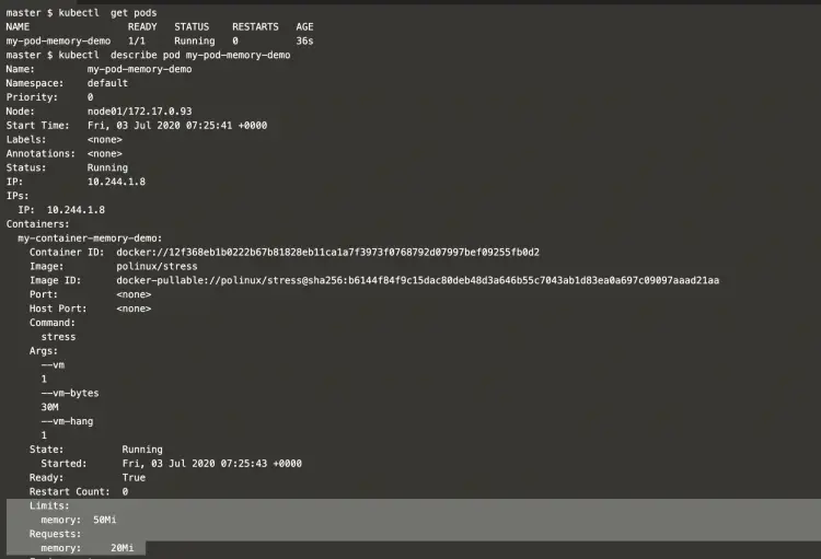 describe-the-pod-and-check-memory
