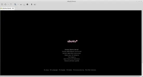 Ubuntu VM via Remmina RDP.