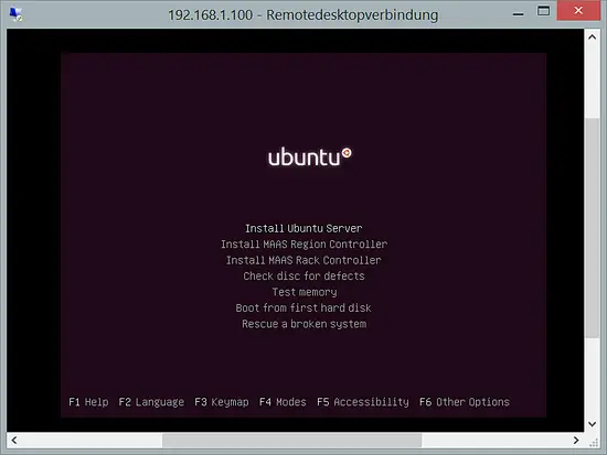 The Ubuntu virtual machine via RDP