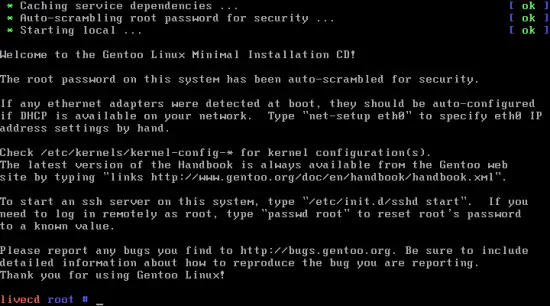 Gentoo Installer at root prompt