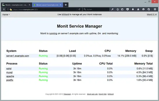 The Monit dashboard.