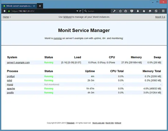 Monit main screen.