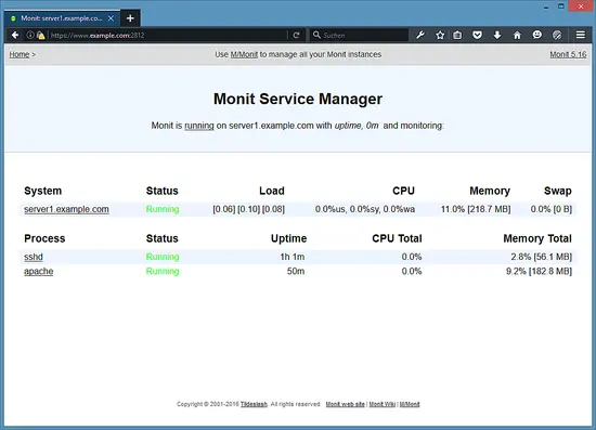 Monit services.