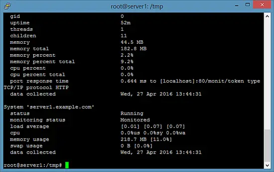 Check Monit status on the commandline.