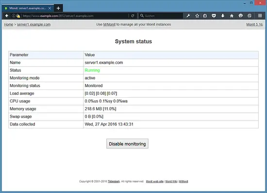 Monit system status.