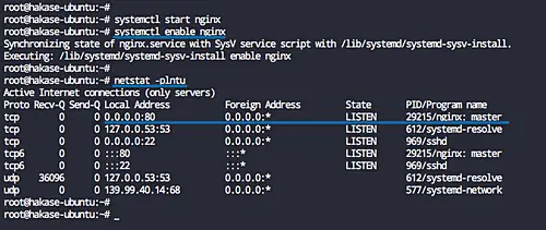 Install Nginx web server