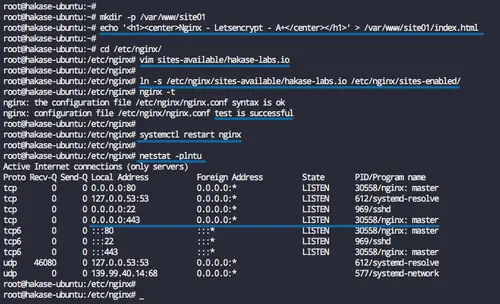 Configure Nginx