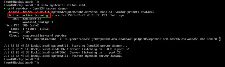 Verify SSH Service