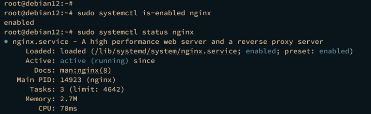 checking nginx