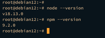 verify node.js npm