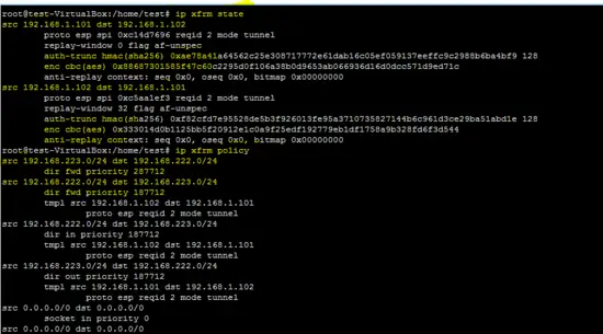 ip xfrm state
