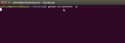Include mouse pointer in snapshot 