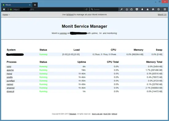 Monit Overview.