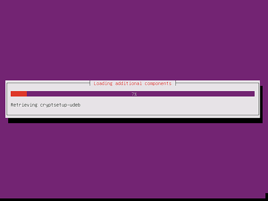The installer downloads packages