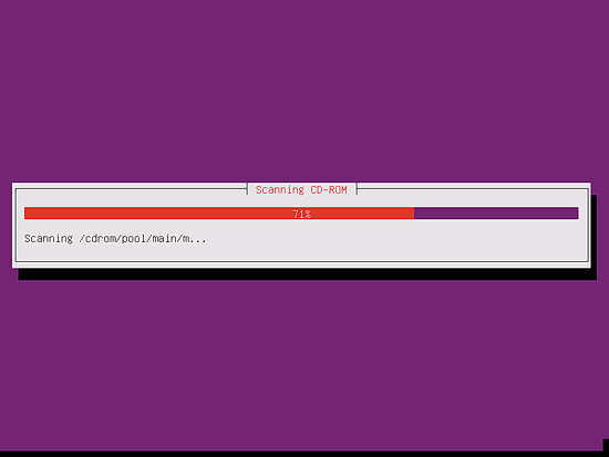 The installer scans the CD image for packages.